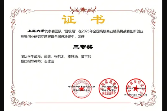2025 全国高校商业精英挑战赛 · 国赛三等奖